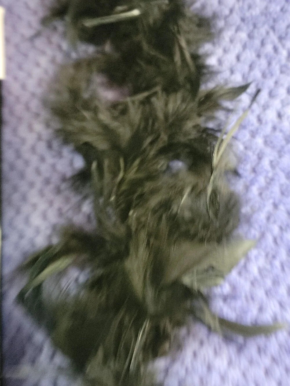 NWOT 1920's Flapper Costume